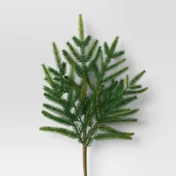 4pc Christmas Pick Set 2 Cedar Picks 2 Norfolk Pine - Wondershop™ 5 4pc Christmas Pick Set 2 Cedar Picks 2 Norfolk Pine - Wondershop™ -Wondershop Sales GUEST 46cca060 1c87 4640 997d 07fced4c472e