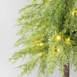 Pre-Lit Potted Balsam Artificial Christmas Tree - Wondershop™ 9 Pre-Lit Potted Balsam Artificial Christmas Tree - Wondershop™ -Wondershop Sales GUEST 5d9ddf88 42c8 4d7d 88ad 8a538f9a5403