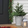 20" Pre-lit LED Battery Operated Mixed Pine Mini Christmas Artificial Pot Filler Warm White Lights - Wondershop™: Indoor/Outdoor