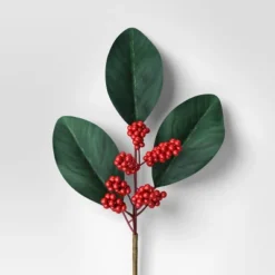 4pc Christmas Pick Set 2 Magnolia Leaf 2 Red Poinsettia - Wondershop™ 5 4pc Christmas Pick Set 2 Magnolia Leaf 2 Red Poinsettia - Wondershop™ -Wondershop Sales GUEST f4255727 4432 43e9 bc15 cf1d5326592b